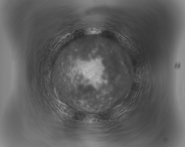 X0000115621441200911101405