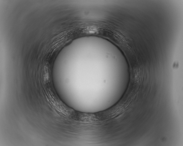 X0000115621442200911101405