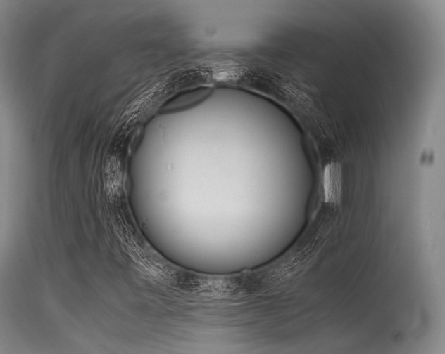 X0000115621443200911101405