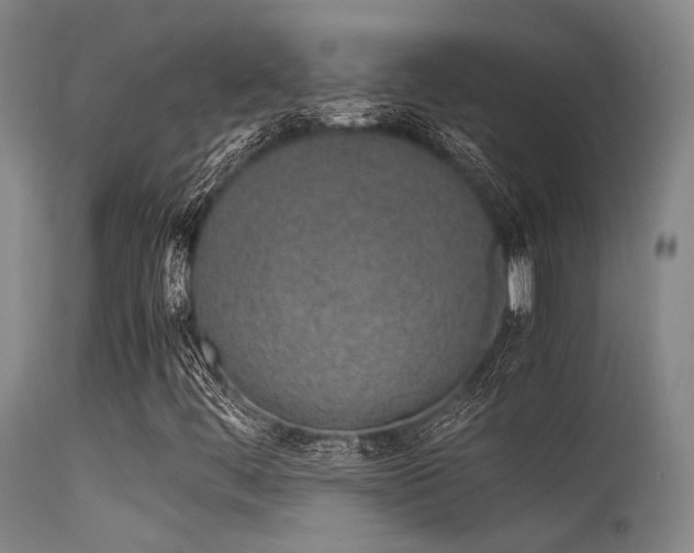 X0000115621444200911101405