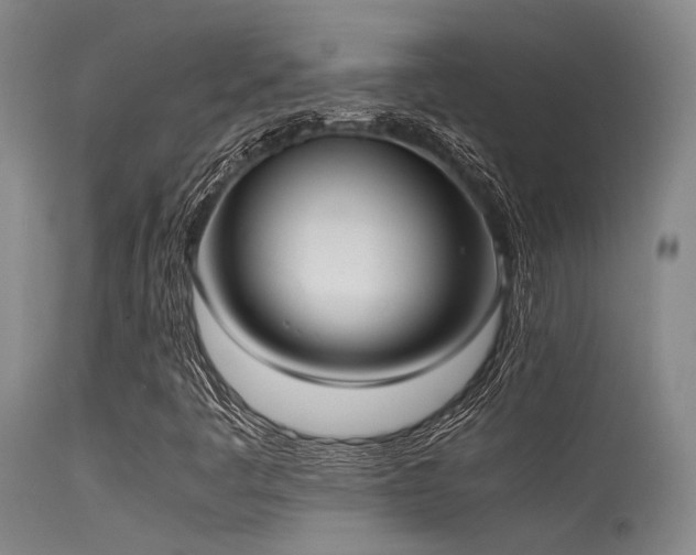 X0000115621445200911101405