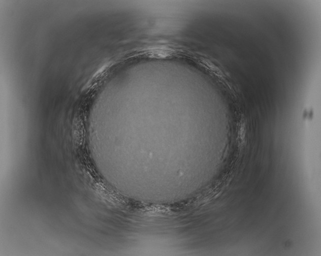 X0000115621446200911101405