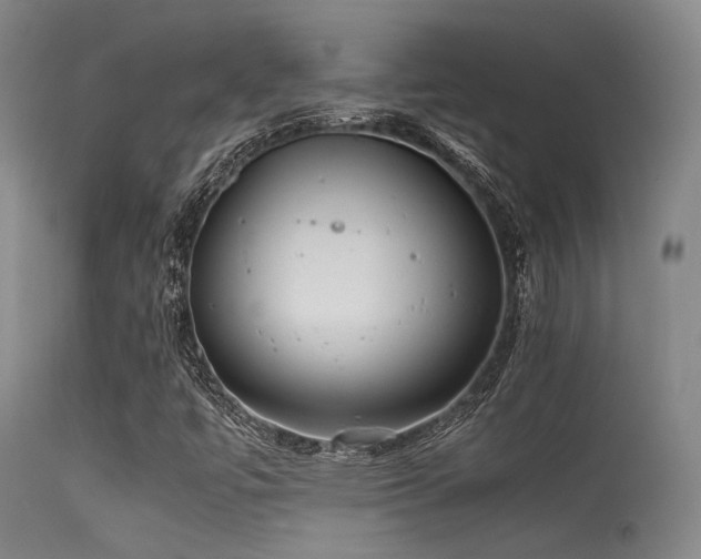 X0000115621447200911101405