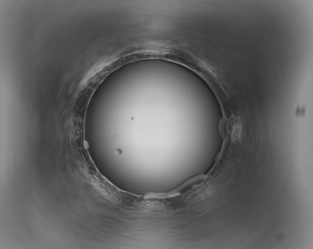 X0000115621448200911101405