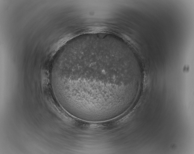 X0000115621449200911101405