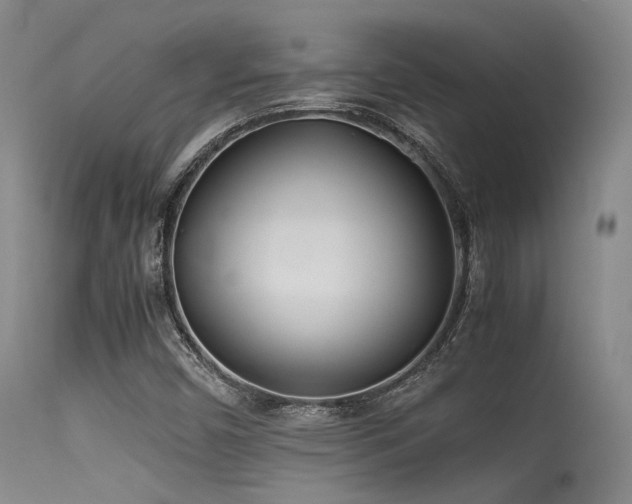 X0000115621450200911101404