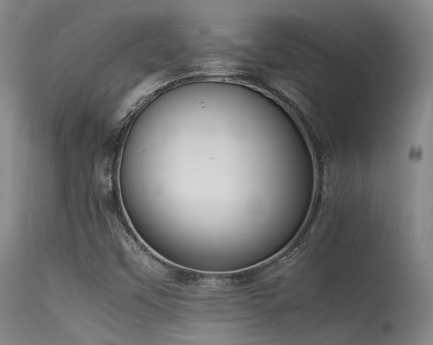 X0000115621451200911101404