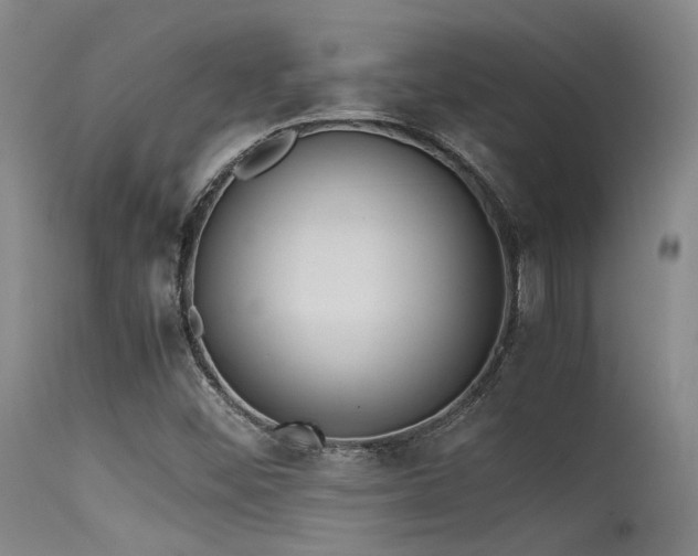 X0000115621452200911101404