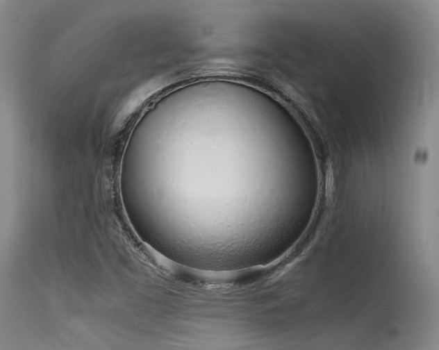 X0000115621453200911101404