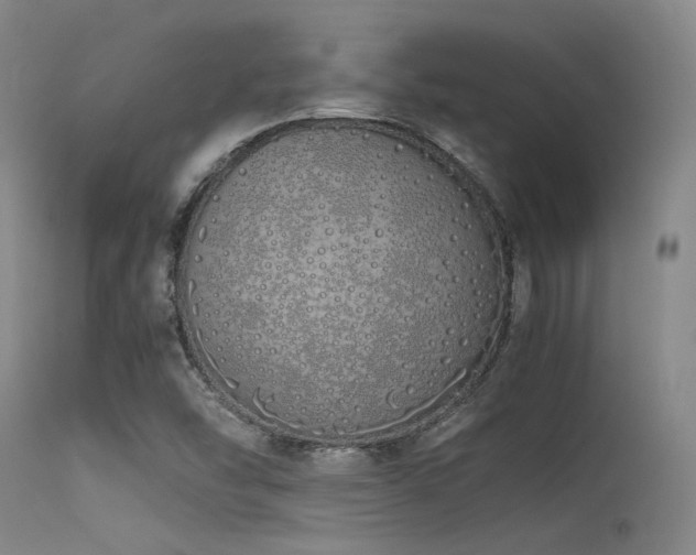 X0000115621454200911101404