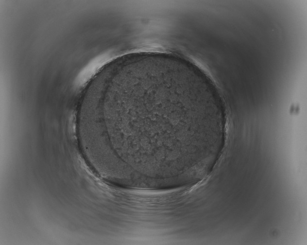 X0000115621455200911101404