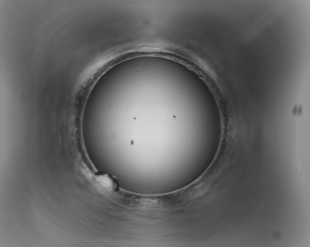 X0000115621456200911101404