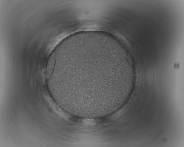 X0000115621457200911101404