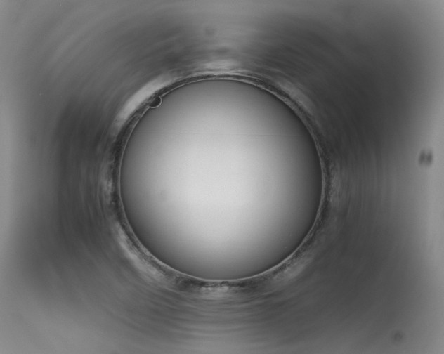 X0000115621458200911101404