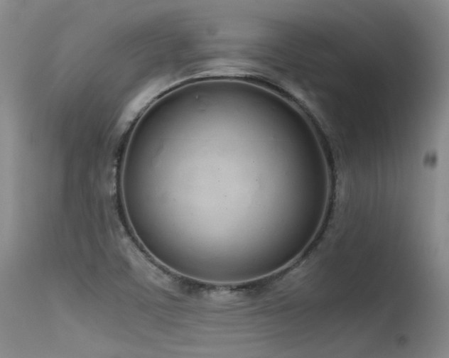 X0000115621459200911101404