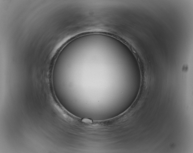 X0000115621460200911101404