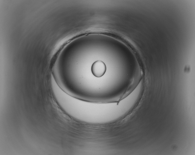 X0000115621461200911101404