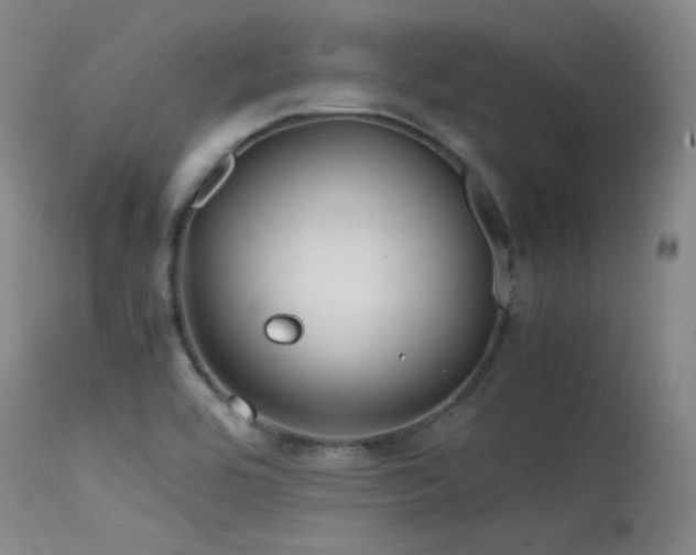 X0000115621464200911101404