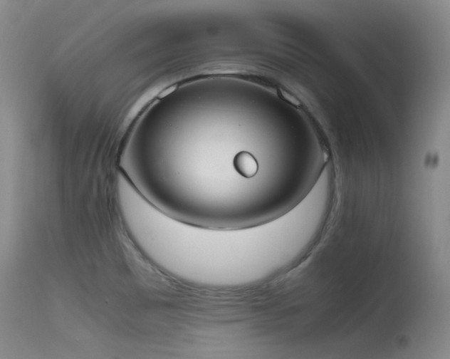 X0000115621465200911101404