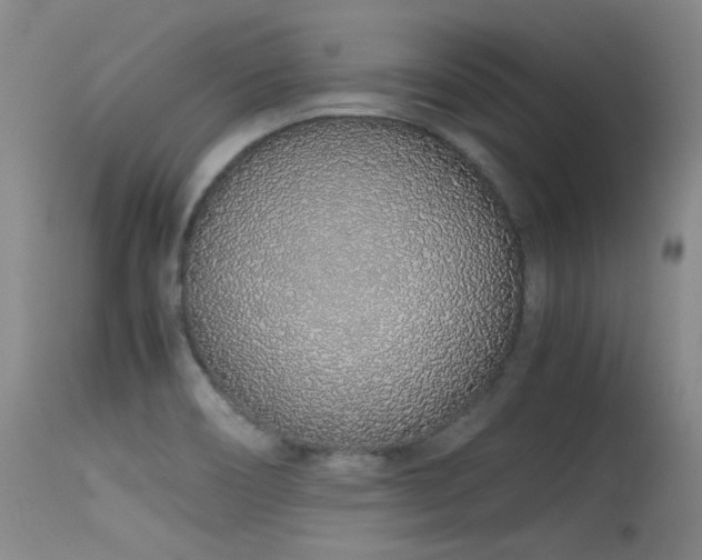 X0000115621466200911101404