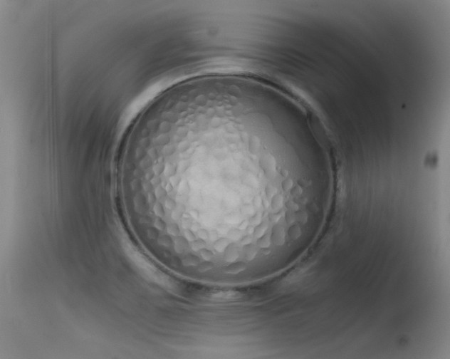 X0000115621467200911101404