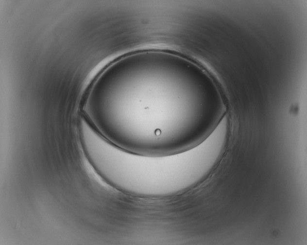 X0000115621468200911101404