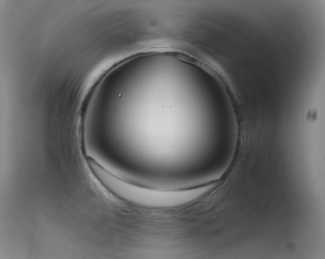 X0000115621472200911101404