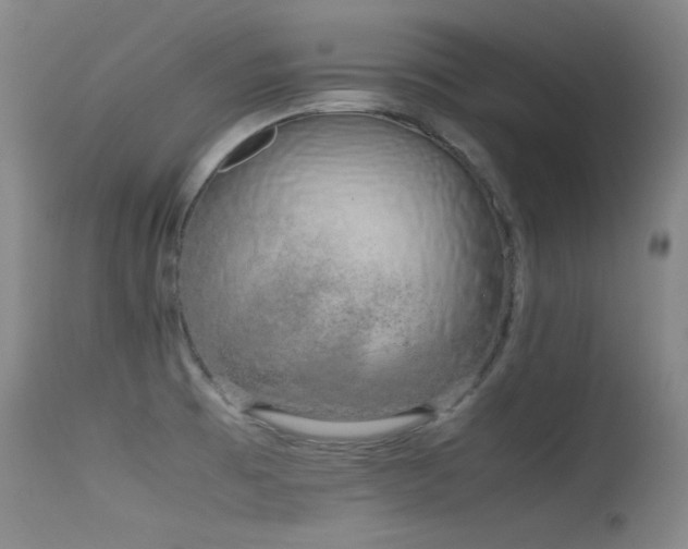 X0000115621473200911101404