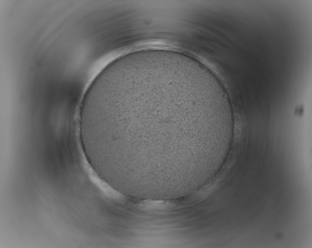 X0000115621474200911101404