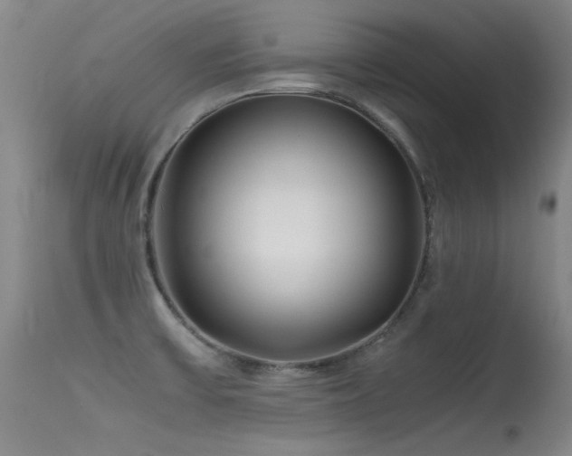 X0000115621475200911101404