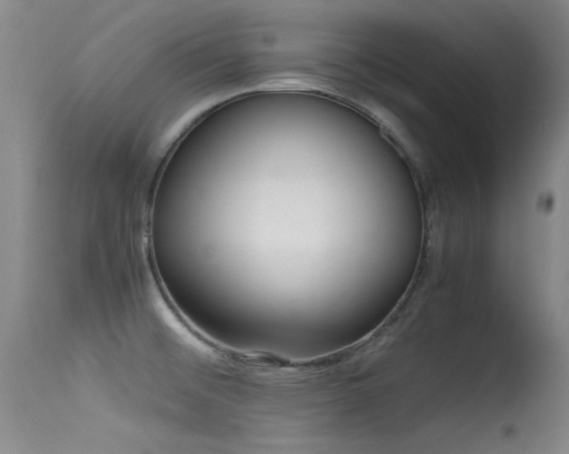 X0000115621476200911101404