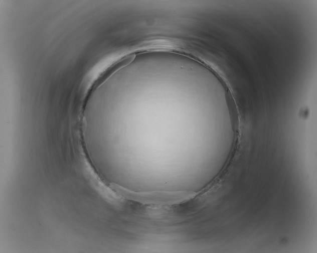 X0000115621477200911101404