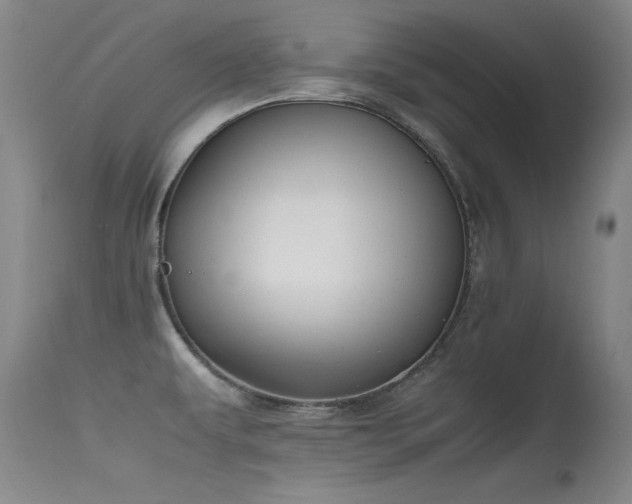 X0000115621479200911101404