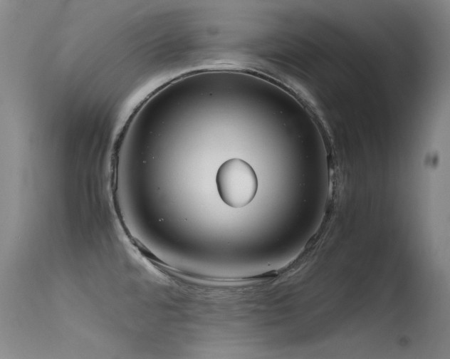 X0000115621480200911101404