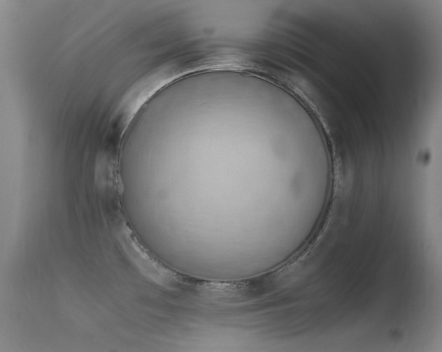 X0000115621481200911101404