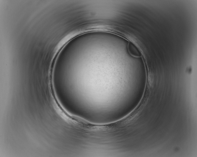 X0000115621482200911101404