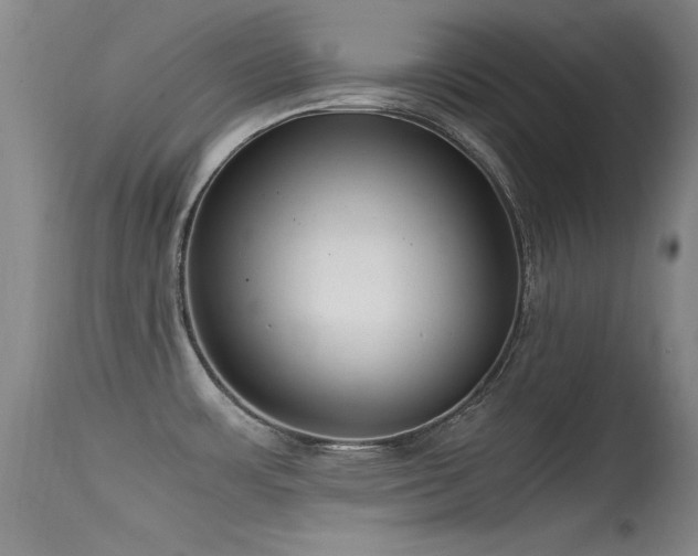 X0000115621483200911101404