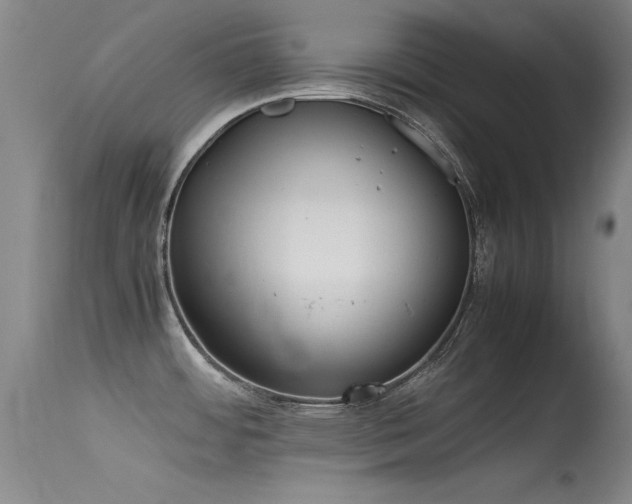 X0000115621484200911101404