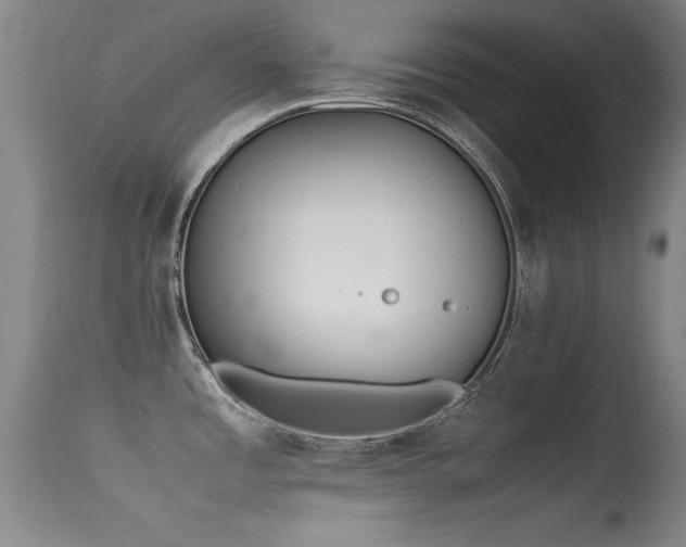 X0000115621485200911101404