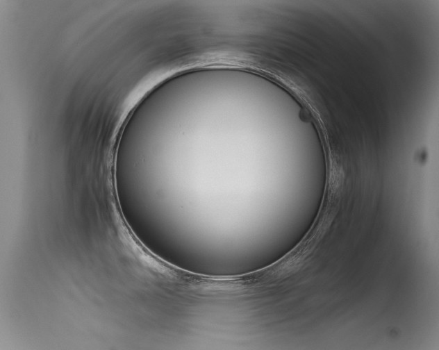 X0000115621486200911101404