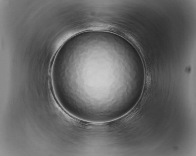 X0000115621487200911101404