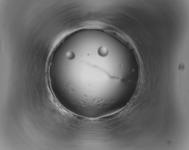 X0000115621488200911101404