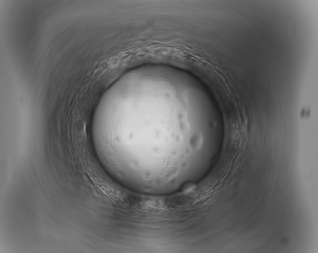 X0000115621489200911101403