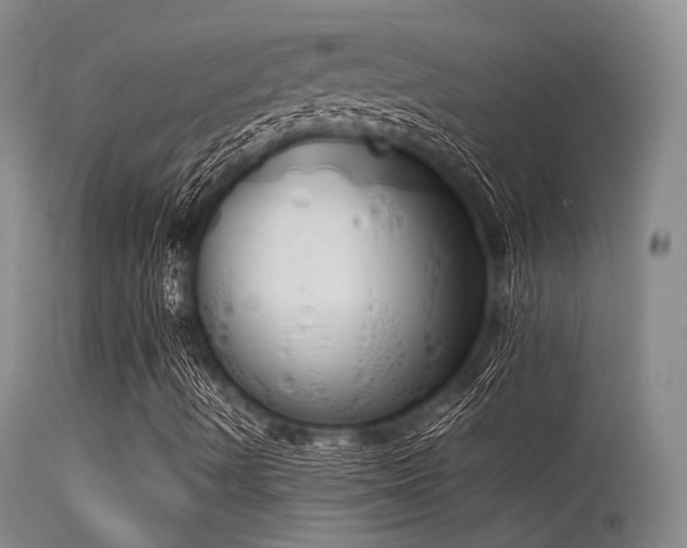 X0000115621490200911101403