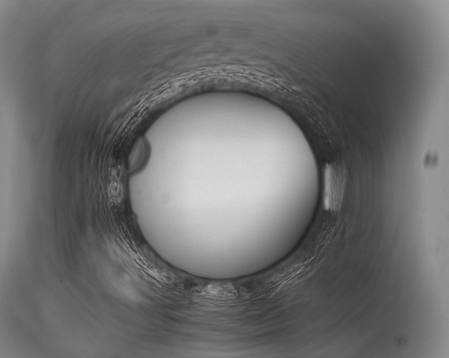 X0000115621491200911101403