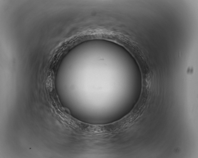 X0000115621493200911101403