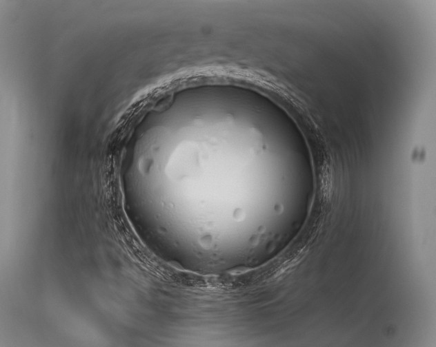 X0000115621494200911101403