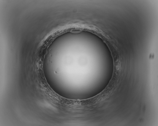 X0000115621495200911101403