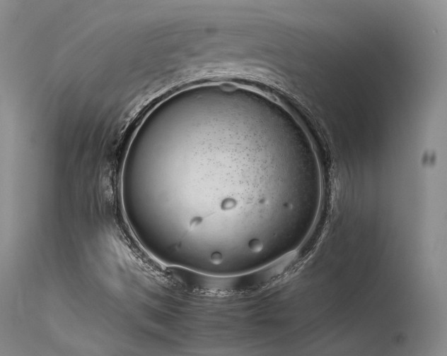 X0000115621497200911101403