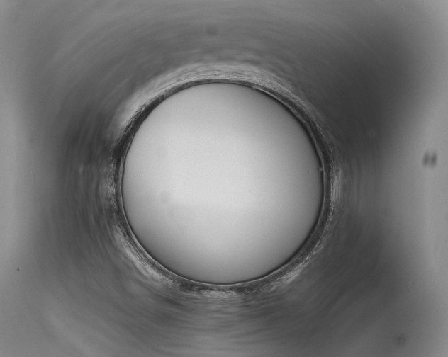 X0000115621498200911101403